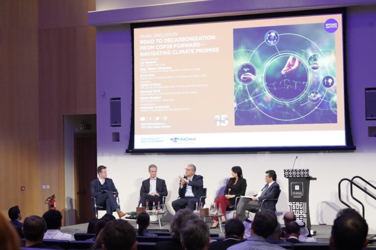 Road to Decarbonization: From COP28 Forward – Navigating Climate
